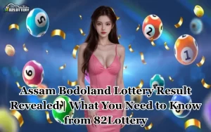assam bodoland lottery result